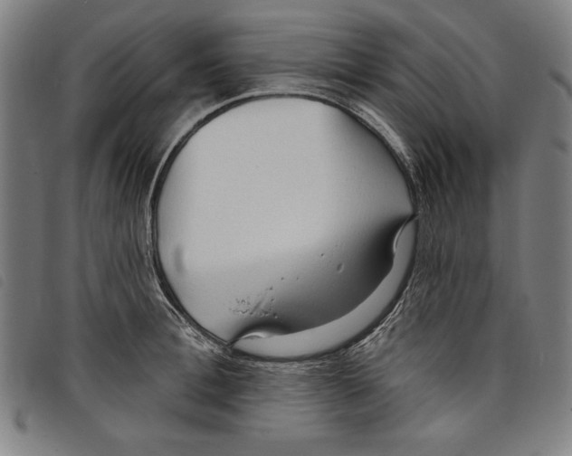 X0000097750996200804041059