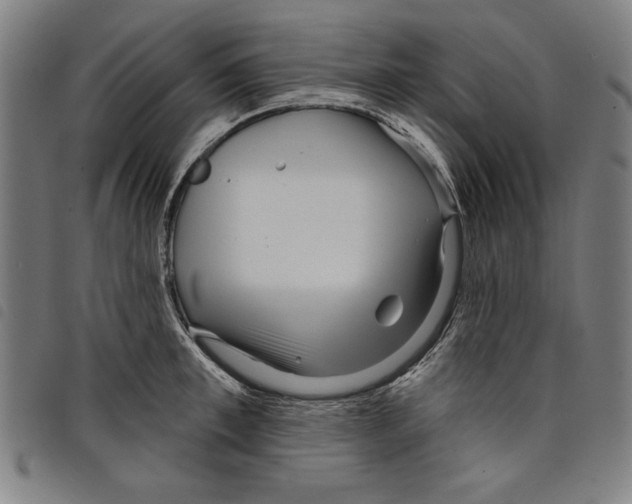 X0000097750997200804041059