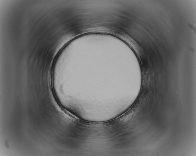 X0000097750999200804041059