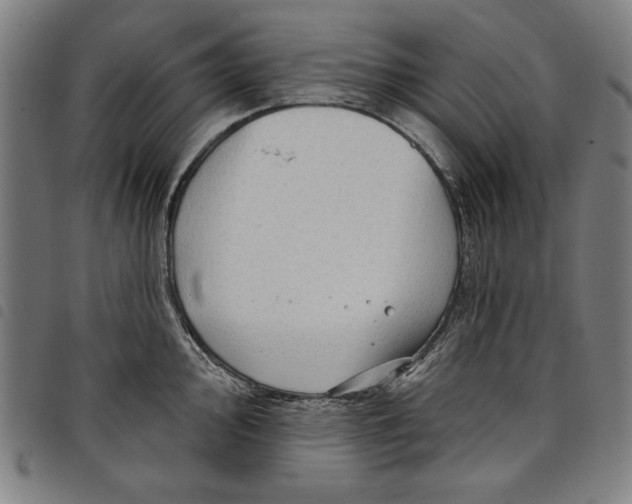 X0000097751000200804041059