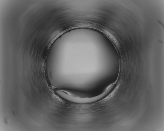 X0000097751001200804041059