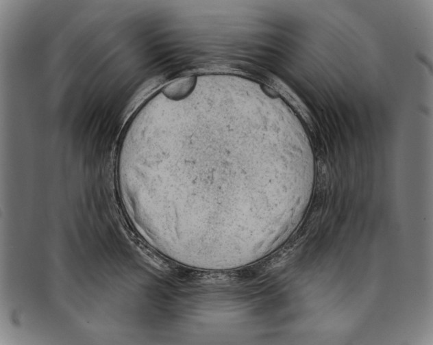 X0000097751002200804041059