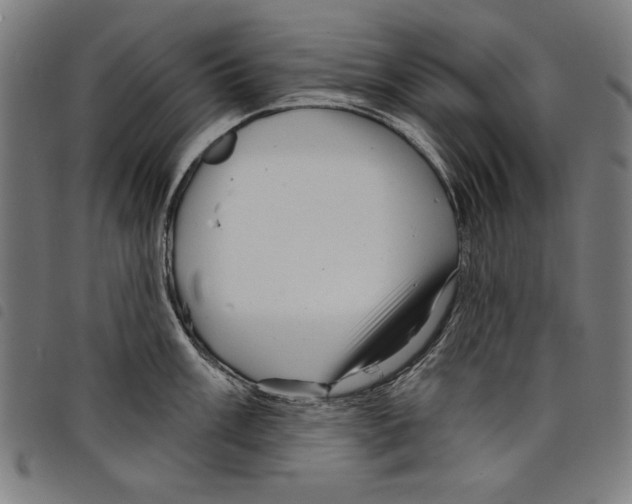 X0000097751003200804041059