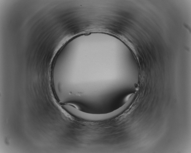 X0000097751005200804041059