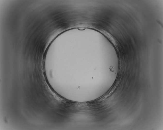 X0000097751006200804041059