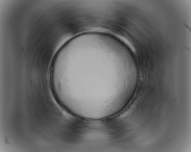 X0000097751007200804041059