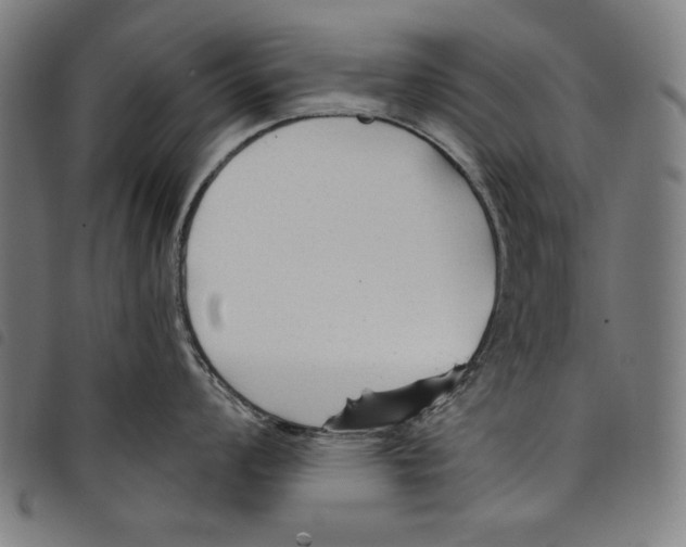 X0000097751008200804041059