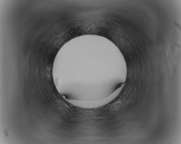 X0000097751010200804041058