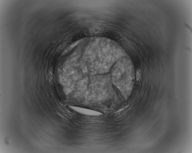 X0000097751011200804041058