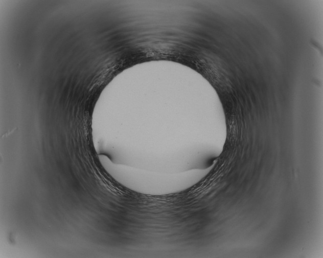 X0000097751012200804041058