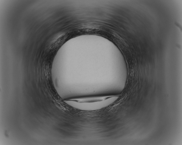 X0000097751014200804041058