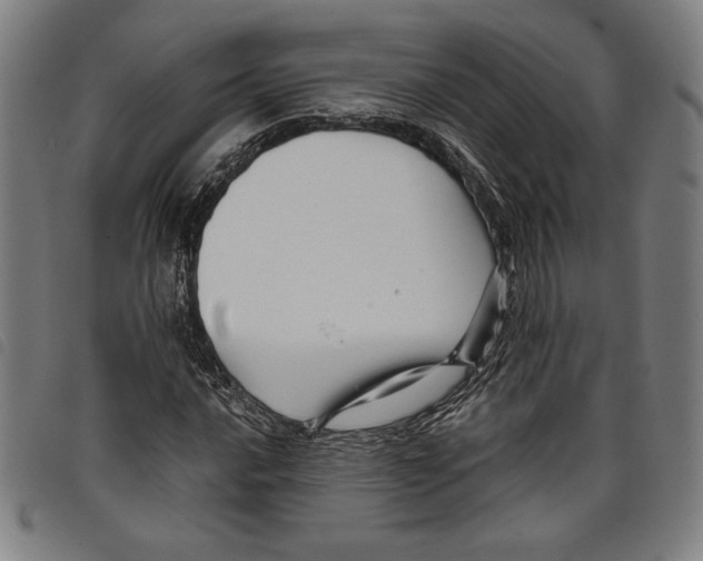 X0000097751016200804041058