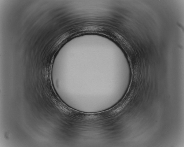 X0000097751017200804041058