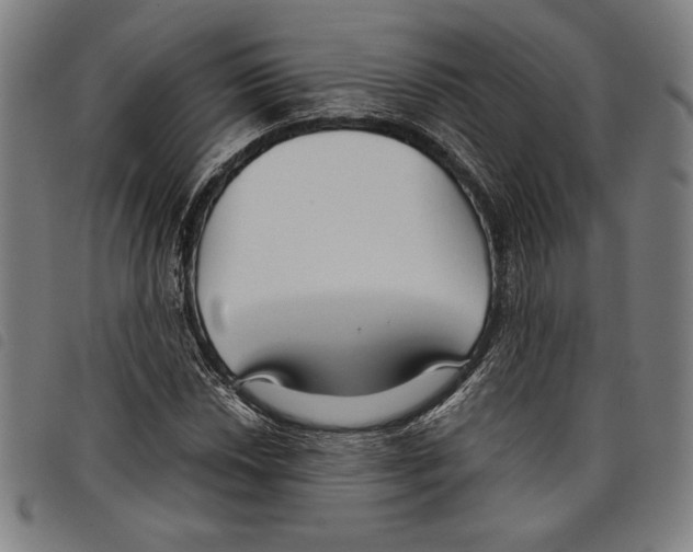 X0000097751018200804041058