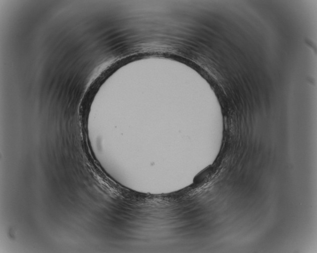 X0000097751022200804041058