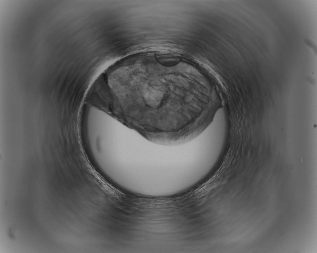 X0000097751024200804041058