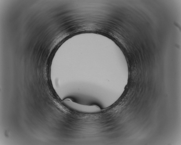 X0000097751026200804041058