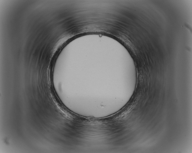 X0000097751030200804041058