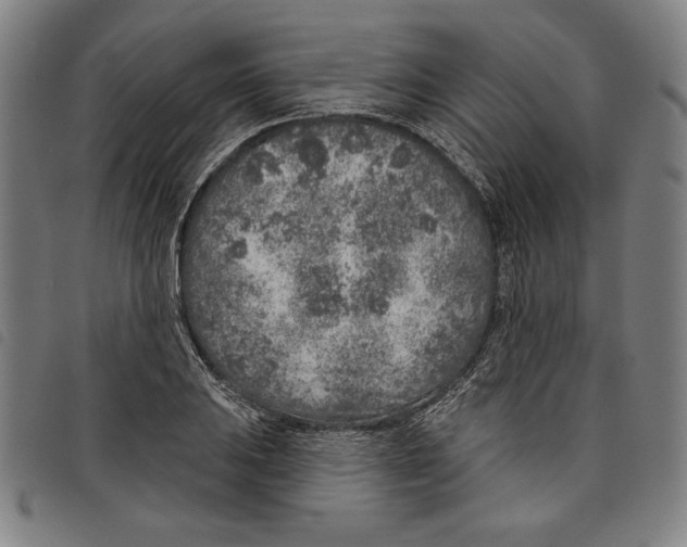 X0000097751031200804041058