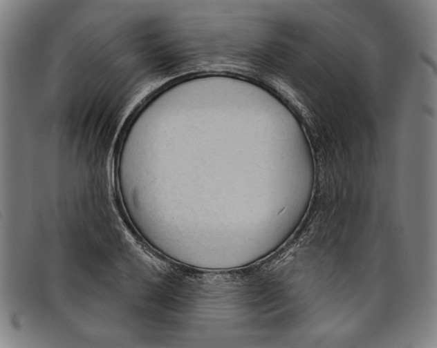 X0000097751032200804041058