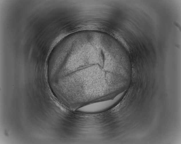 X0000097751035200804041058