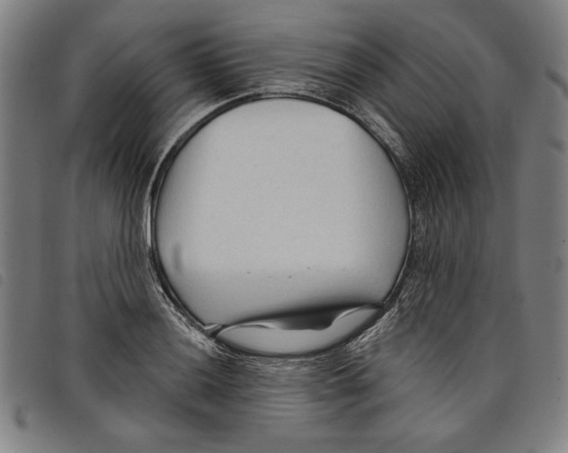 X0000097751036200804041058