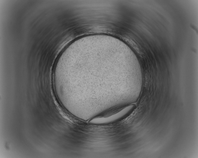 X0000097751039200804041058