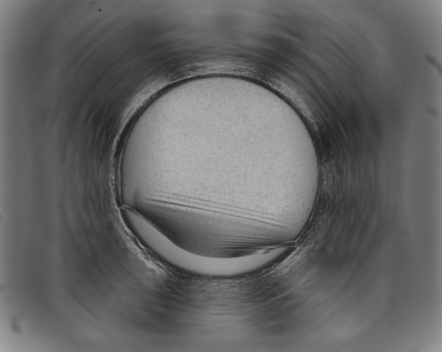 X0000097751043200804041058