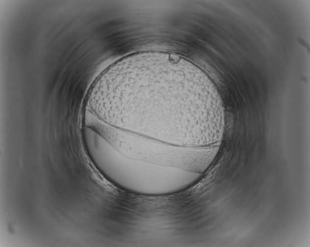 X0000097751044200804041058