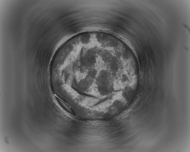 X0000097751045200804041058