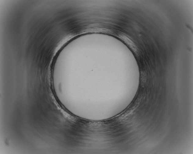 X0000097751046200804041058