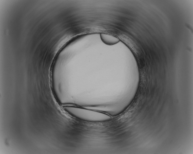 X0000097751047200804041058