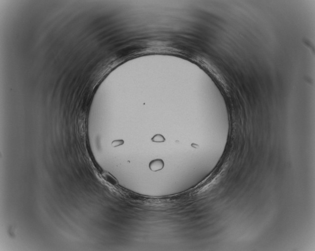 X0000097751049200804041058