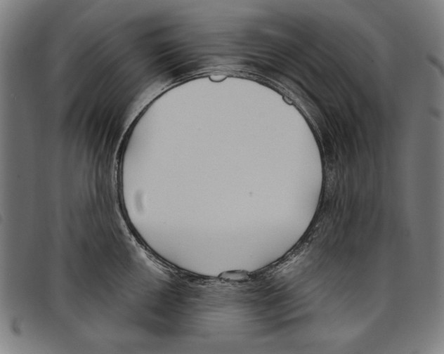 X0000097751050200804041058