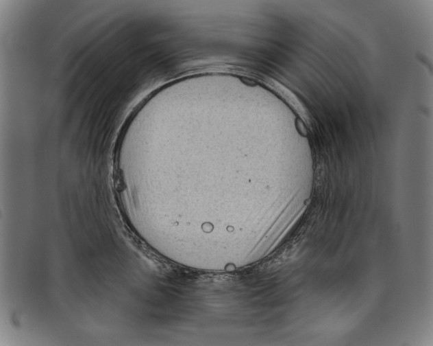 X0000097751051200804041058