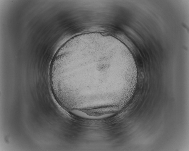 X0000097751055200804041059