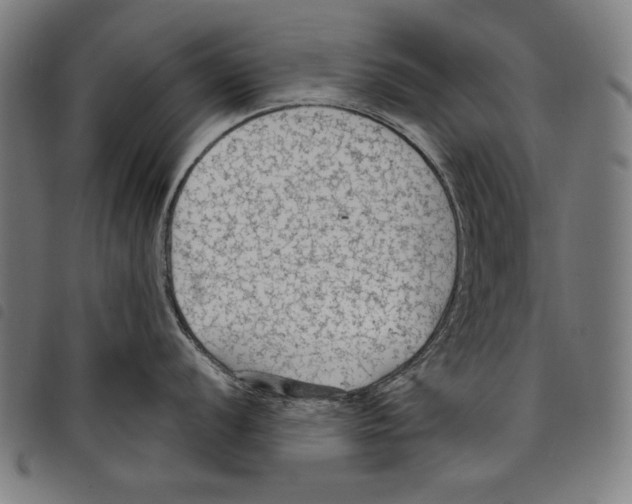 X0000097751056200804041059