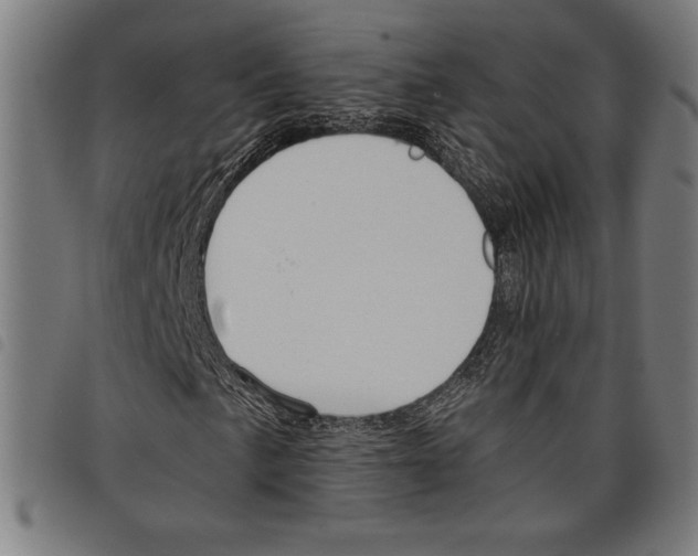 X0000097751057200804041058