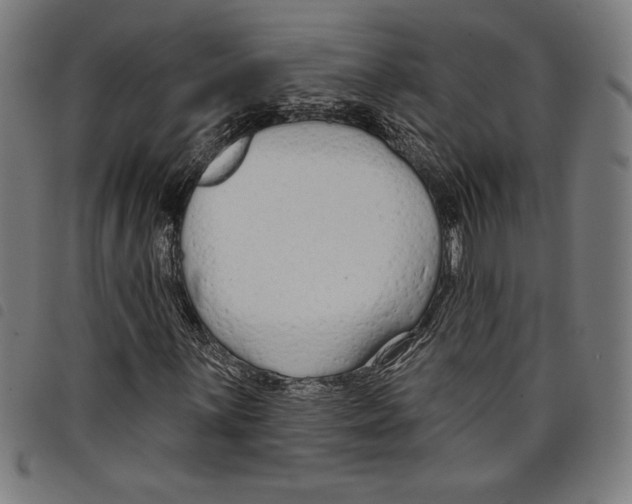 X0000097751059200804041058