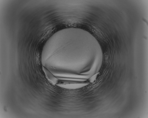 X0000097751060200804041058