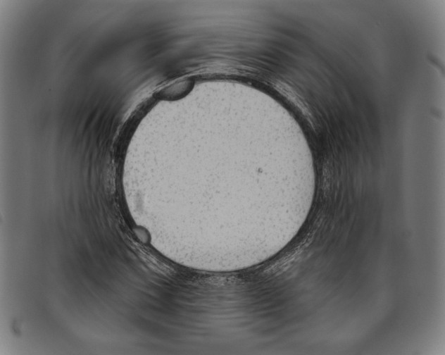 X0000097751067200804041058