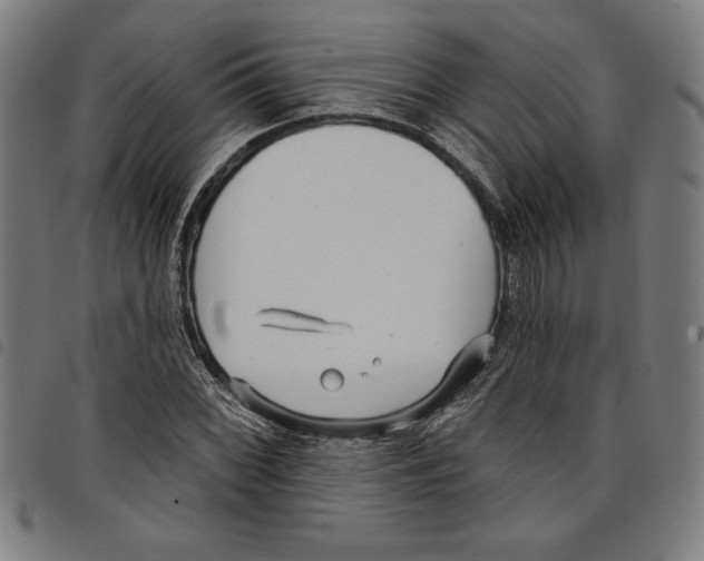 X0000097751068200804041058