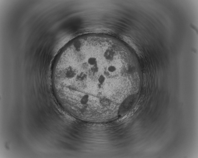 X0000097751071200804041058