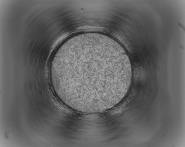 X0000097751074200804041057