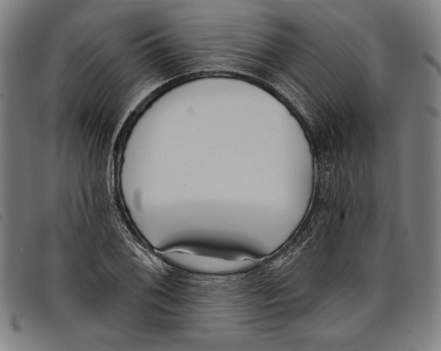 X0000097751076200804041057