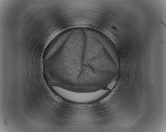 X0000097751077200804041057