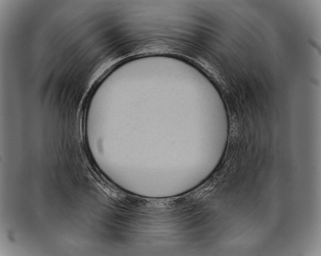 X0000097751078200804041057