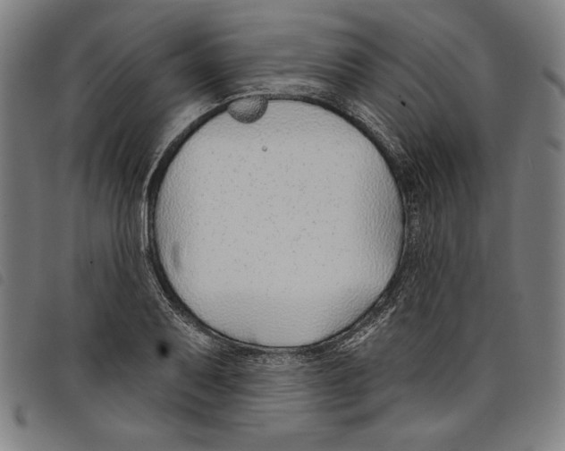 X0000097751079200804041057