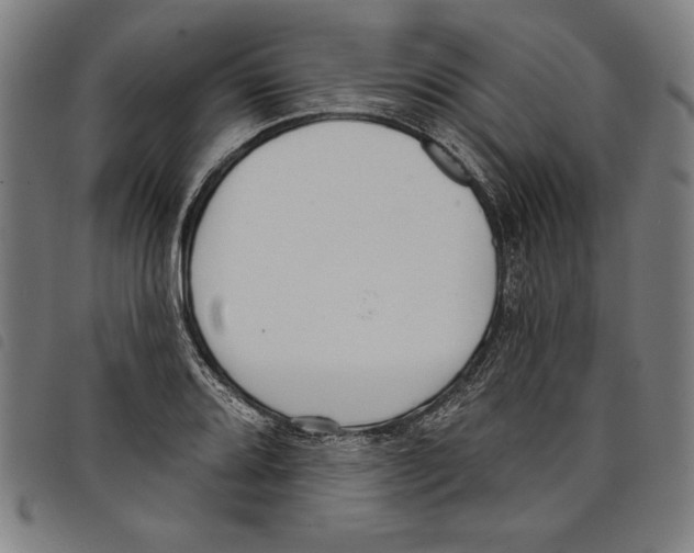 X0000097751080200804041057