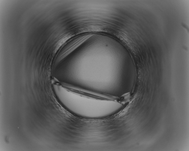 X0000097751081200804041057